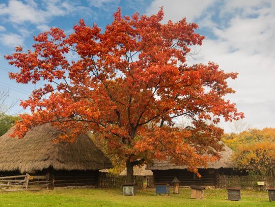 Skansen otrzymał środki na renowację obiektów