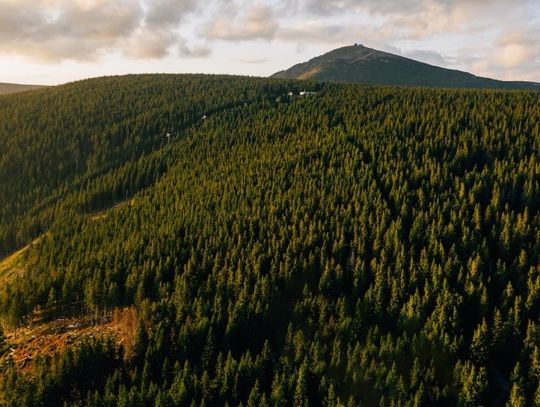 Sky Walk Czechy: unikalna atrakcja turystyczna w Europie