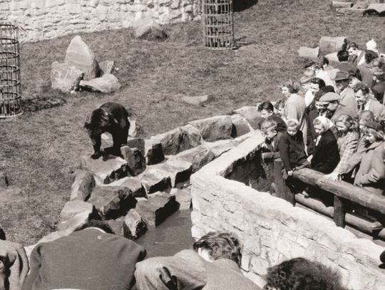 Śląski Ogród Zoologiczny ma 60 lat!