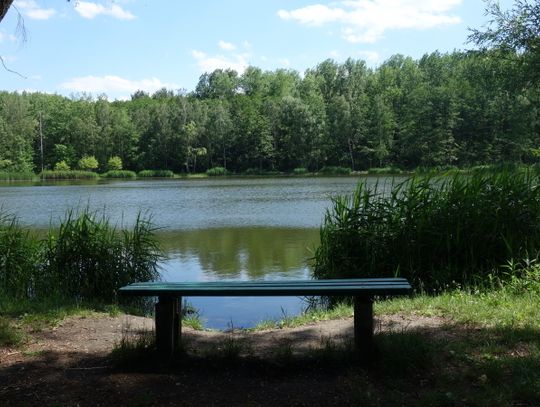 Śląskie wesprze turystykę