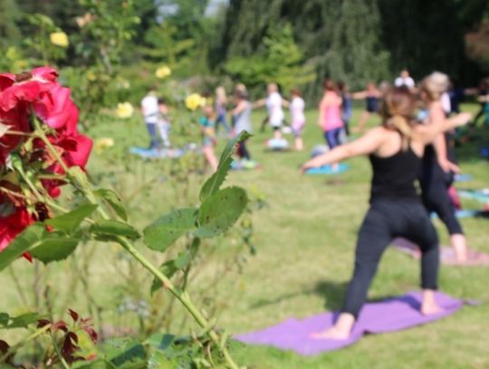 Śniadanie nareszcie wróciło do ogrodu różanego