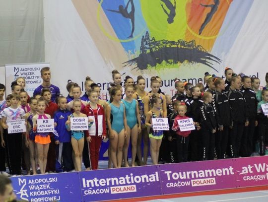 Sokolnia pod Wawelem