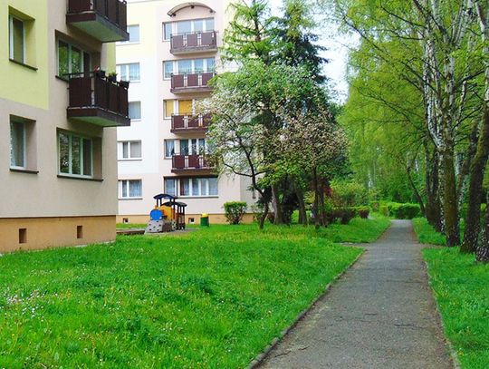 Spółdzielnia Mieszkaniowa w Świętochłowicach ogłosiła plan remontów na 2026 rok