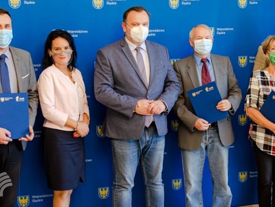 Społecznicy doradzą w sprawie Parku Śląskiego 