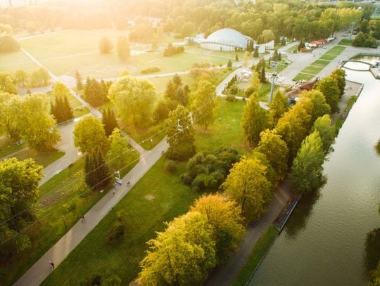 Spore zmiany w Parku Śląskim. Strefa bez samochodów i innowacyjny system parkingowy