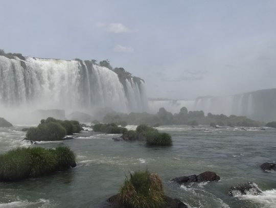 Spotkanie z Ewą Kostrzewą