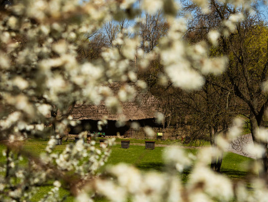 Spotkanie z Olgą Drendą w chorzowskim Skansenie