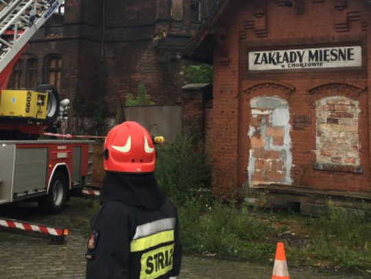 Sprawa rzeźni trafiła do prokuratury