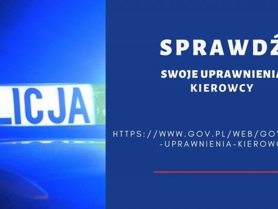 Sprawdź uprawnienia kierowcy na stronie gov.pl