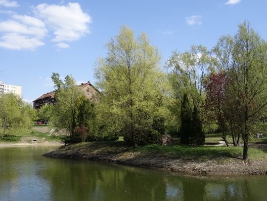 Staw w Parku Róż już po rewitalizacji