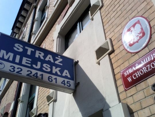 Strażnik miejski nagrodzony za swój bohaterski czyn