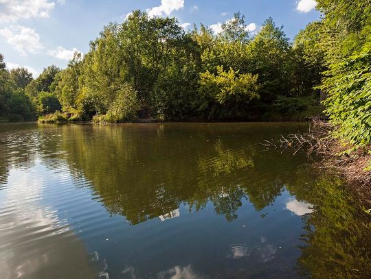 Świętochłowice odmieniają Park Jordanowski! Zobacz, co powstanie przy stawie Matylda