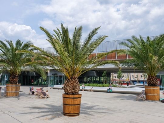 Świętowanie na chorzowskim rynku trwa w najlepsze!