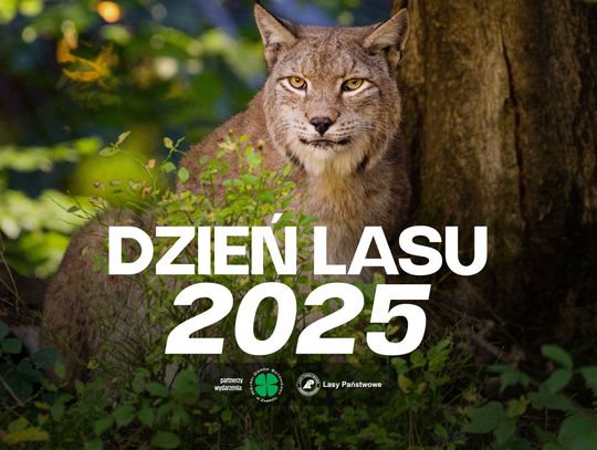 Świętuj Dzień Lasu w śląskim zoo