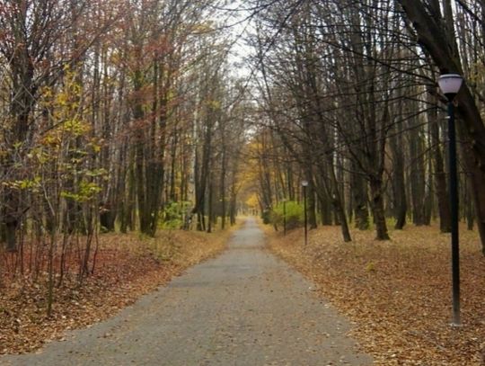 Szukamy jesieni w Parku Śląskim