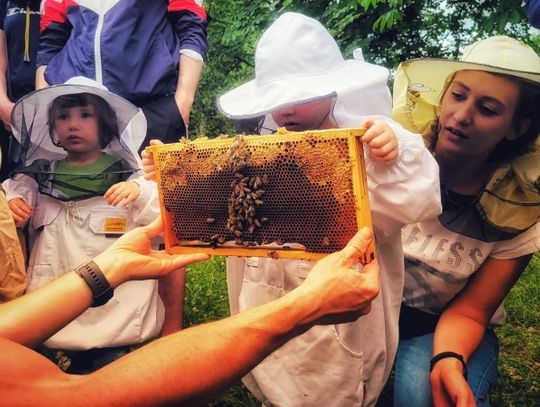 To będzie wyjątkowo słodka niedziela. Przed nami Dzień Miodu w chorzowskim Skansenie