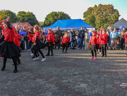 To była niezapomniana sobota na Skałce w Świętochłowicach. Działo się, grało, śpiewało i tańczyło! To była niezapomniana sobota na Skałce w Świętochłowicach. Działo się, grało, śpiewało i tańczyło!