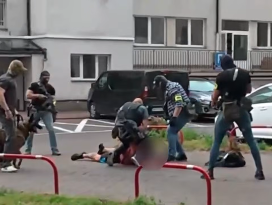 Trenerzy personalni i kulturyści handlowali sfałszowanymi lekami. Wielka akcja CBZC w Katowicach