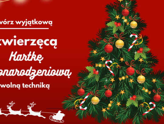 Trwa konkurs na kartkę bożonarodzeniową. Śląskie zoo zachęca do wspólnej zabawy