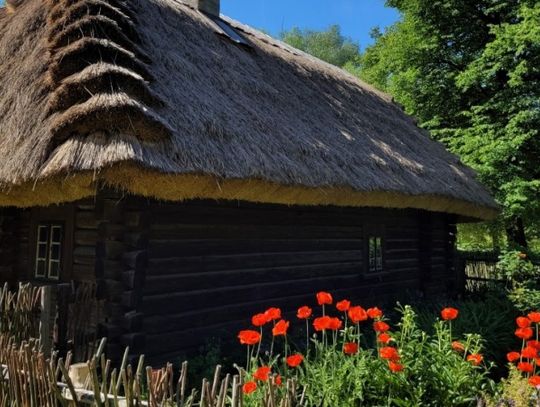 Trwa konkurs na znak migowy chorzowskiego Skansenu. Do końca zgłoszeń pozostało już tylko kilka dni!