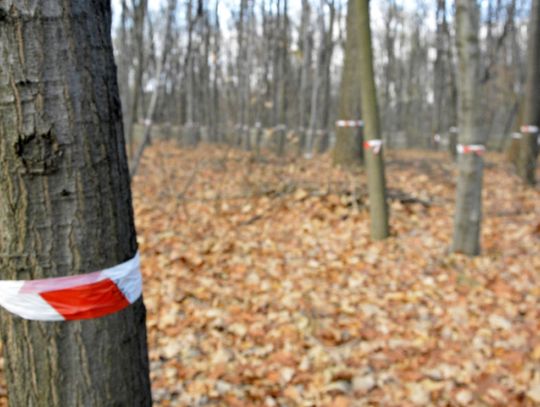 Trwają protesty ws. inwestycji przy MTK