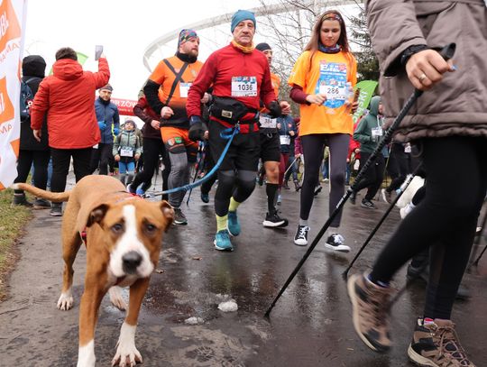 Trwają Zapisy na XI Bieg z Sercem WOŚP. Czworonogi mile widziane, można też marszem