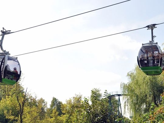 Urodzinowy tydzień z Elką