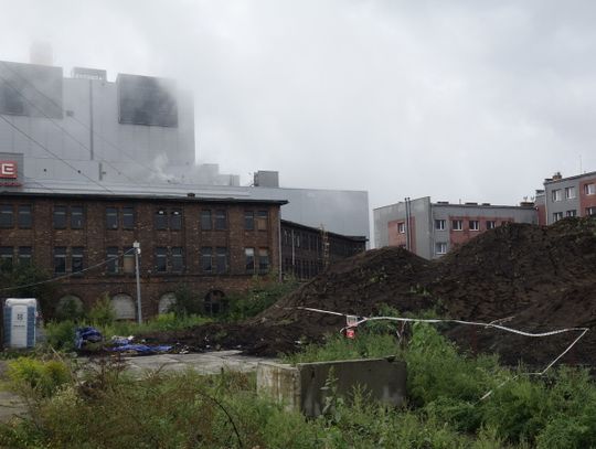 Urząd miasta potwierdza informacje ws. usunięcia biomasy