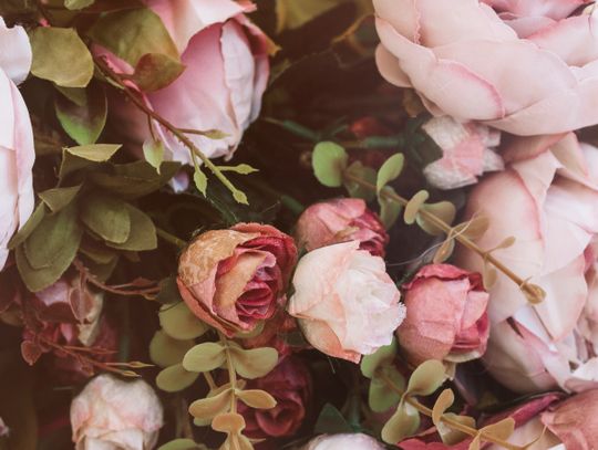 Urząd pomaga i kupuje kwiaty