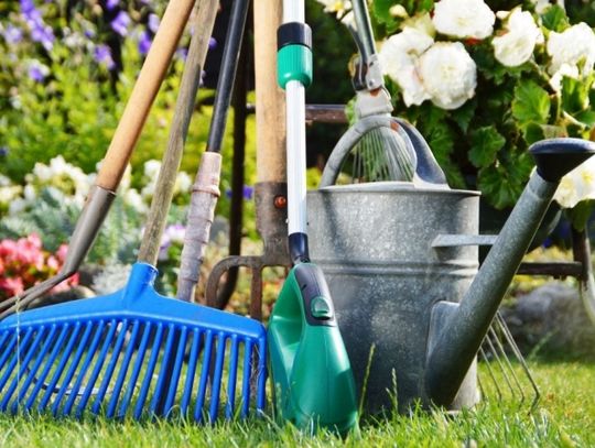 W Chorzowie Batorym powstanie ogród społeczny