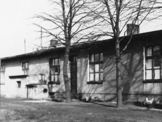 W Chorzowie ma stanąć pomnik upamiętniający ofiary ludobójstwa