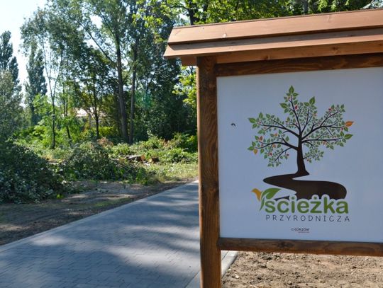 W Chorzowie powstaje Alejka Obserwatorów Przyrody [ZDJĘCIA]