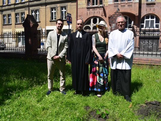W Chorzowie zasadzono wyjątkowe drzewo. "Niech to będzie symbol szczęścia, pomyślności, dobrych intencji i wspólnoty"