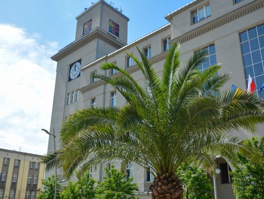 W najbliższą środę II Majówka Przedszkolaka na chorzowskim Rynku