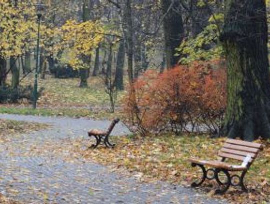 W Parku Róż będzie bezpieczniej?