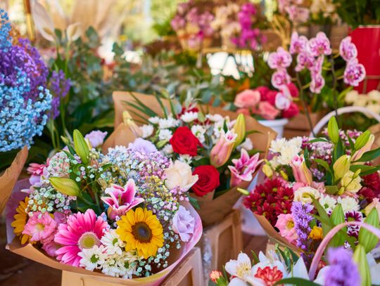 W Parku Śląskim odbędzie się Kiermasz Kwiatowy