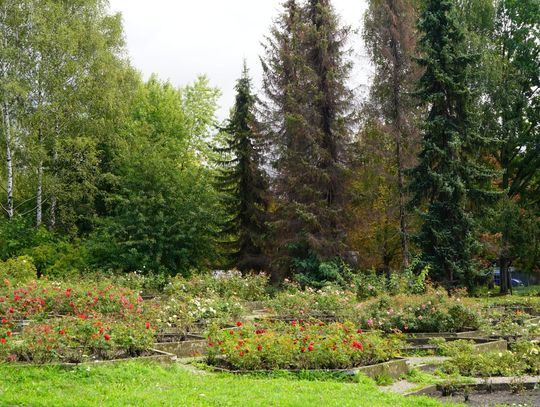 W Parku Śląskim powstanie całkiem nowa atrakcja! Jej oficjalne otwarcie zaplanowano na 2027 rok