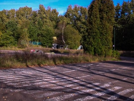 W Parku Śląskim powstanie miasteczko ruchu drogowego 