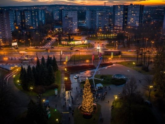 W Parku Śląskim rozbłysła świąteczna choinka