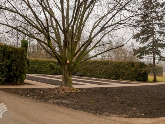 W Parku Śląskim zakończono kolejną inwestycję