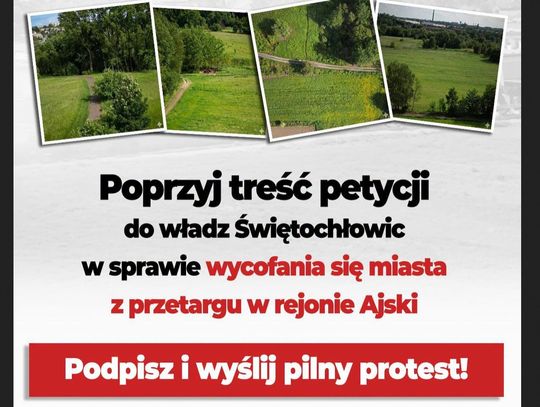 W sieci ruszyła petycja przeciwko sprzedaży zielonych terenów przy Ajsce w Chropaczowie