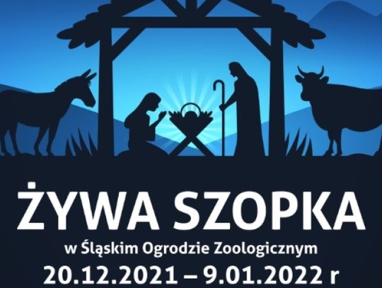 W Śląskim ZOO zobaczyć można żywą szopkę