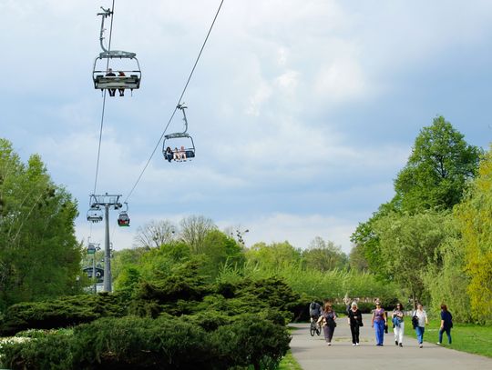 W sobotę urodziny Elki. Przygotowano coś specjalnego!