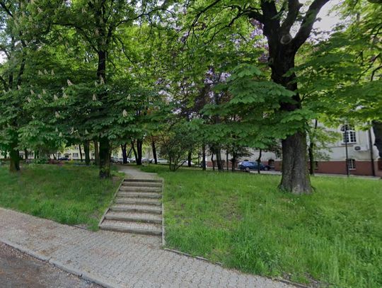 W Świętochłowicach powstanie nowoczesny psi park! Zobacz, co znajdzie się na nowym wybiegu przy ul. Katowickiej
