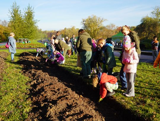 W TAURON Parku Śląskim posadzono 6000 narcyzów! "Już od najwcześniejszych lat uczymy tych dobrych wzorców, a to na pewno zaprocentuje w przyszłości"