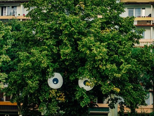 "Wakacje OCZYwiście" rozpoczęte!  