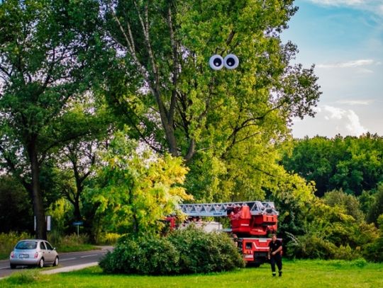 Wakacje OCZYwiście w Maciejkowicach [FOTORELACJA]