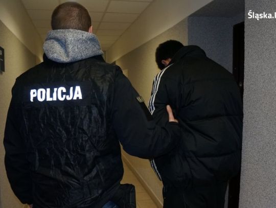 Wandal w rękach policji