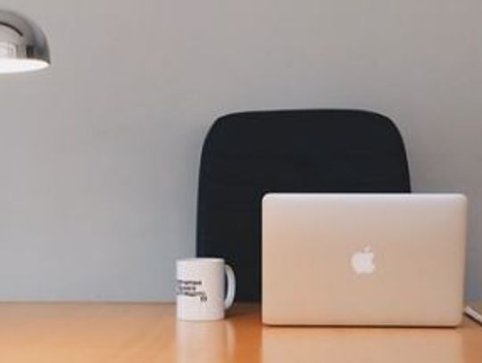 Warsztaty dla przedsiębiorców i NGO