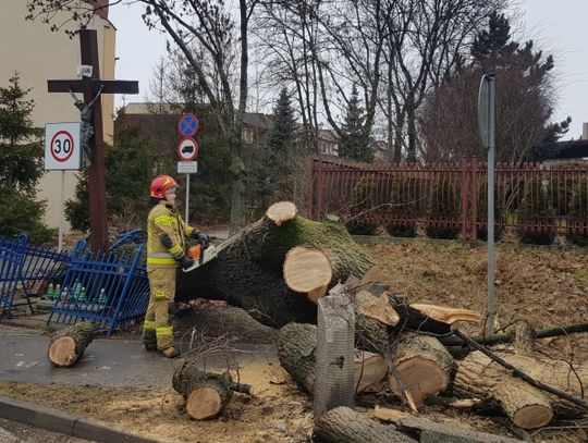 Wichura w Chorzowie wyrywała drzewa, zrywała elementy elewacji i niszczyła samochody [ZDJĘCIA]